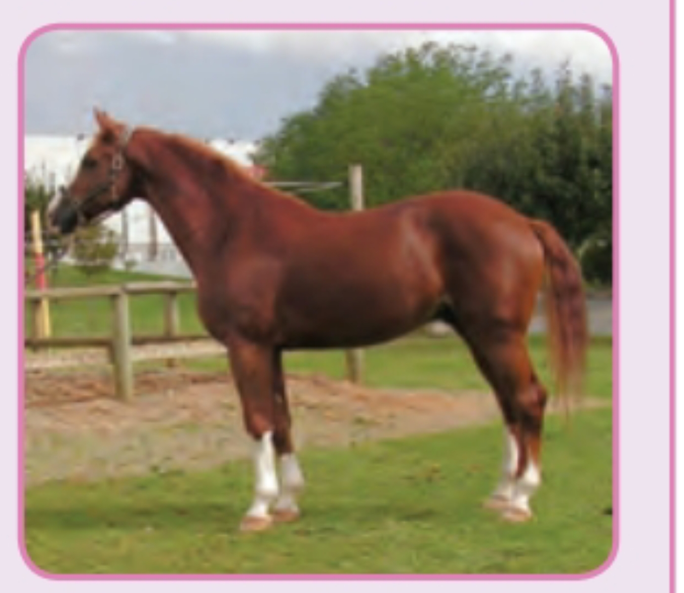 دریافت سوال 20