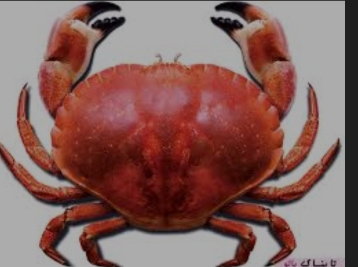 دریافت سوال 13