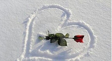 دریافت سوال 1