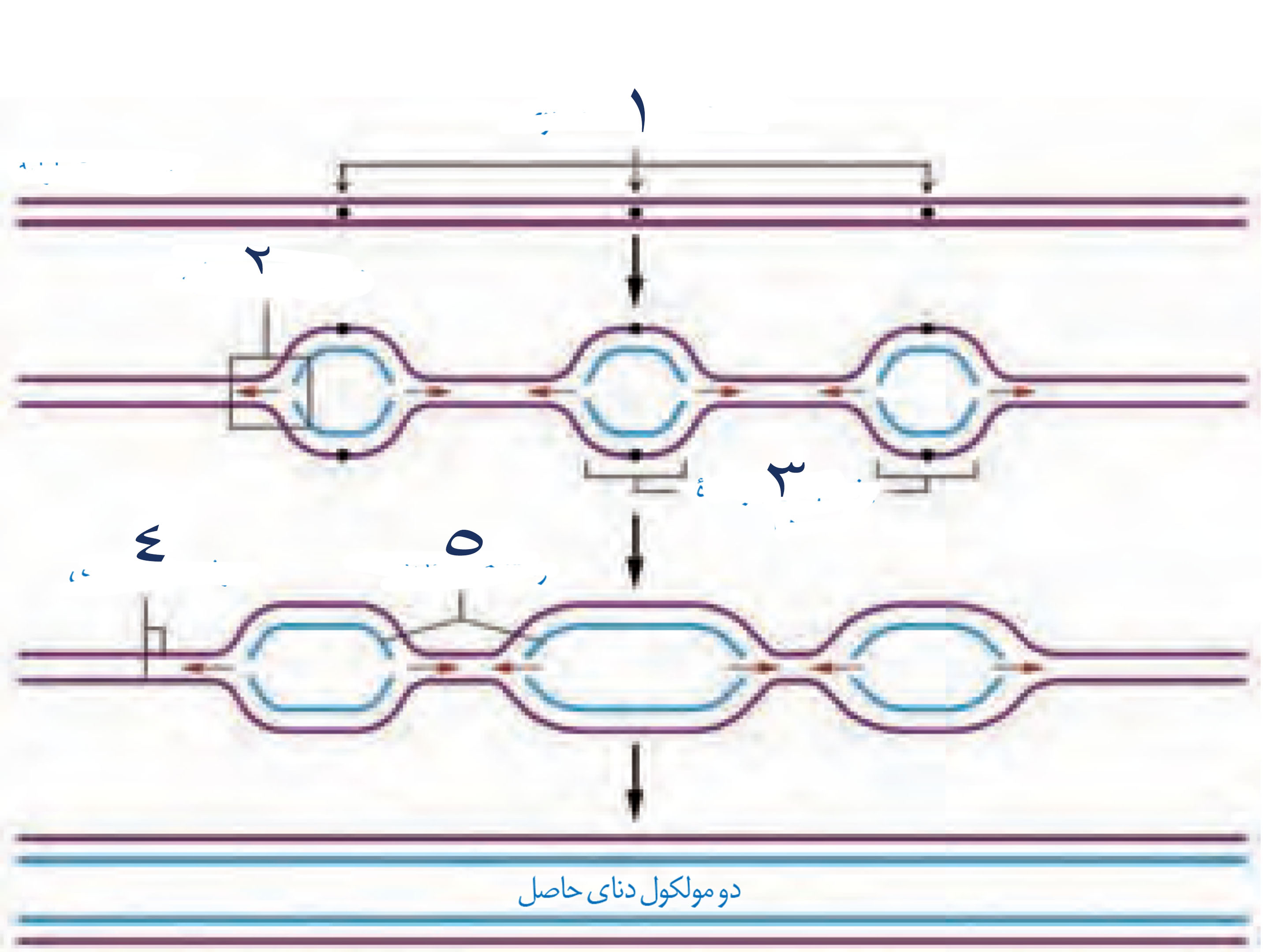 دریافت سوال 11