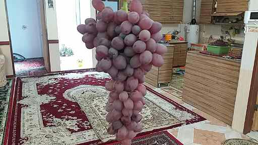 دریافت سوال 3