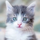 img of service