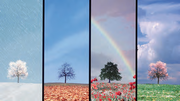 دریافت سوال 14