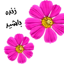 img of service