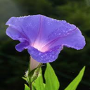 img of service