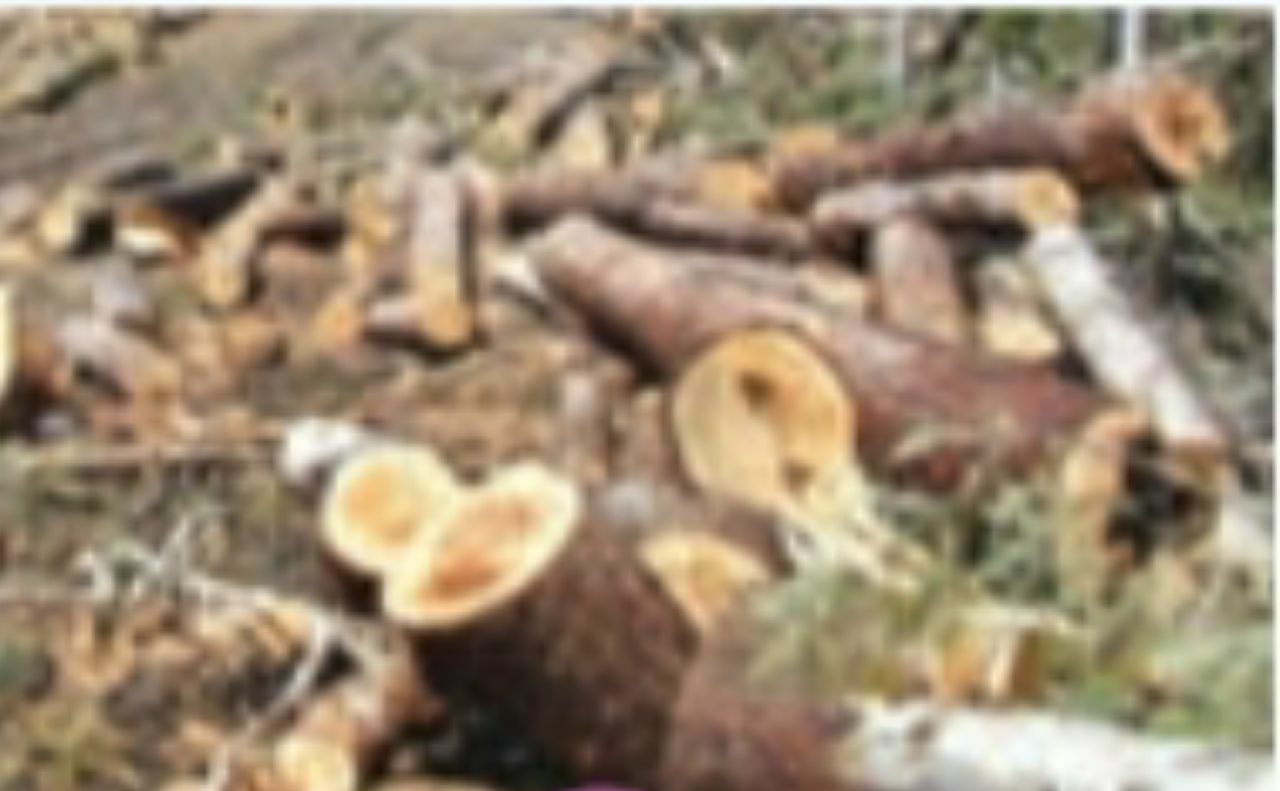 دریافت سوال 2