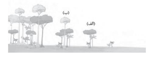 دریافت سوال 4
