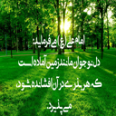 img of sticker