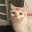 img of sticker