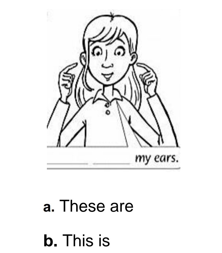 دریافت سوال 13
