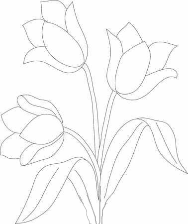 دریافت سوال 1