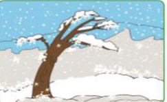 دریافت سوال 10