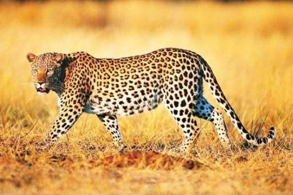 دریافت سوال 3