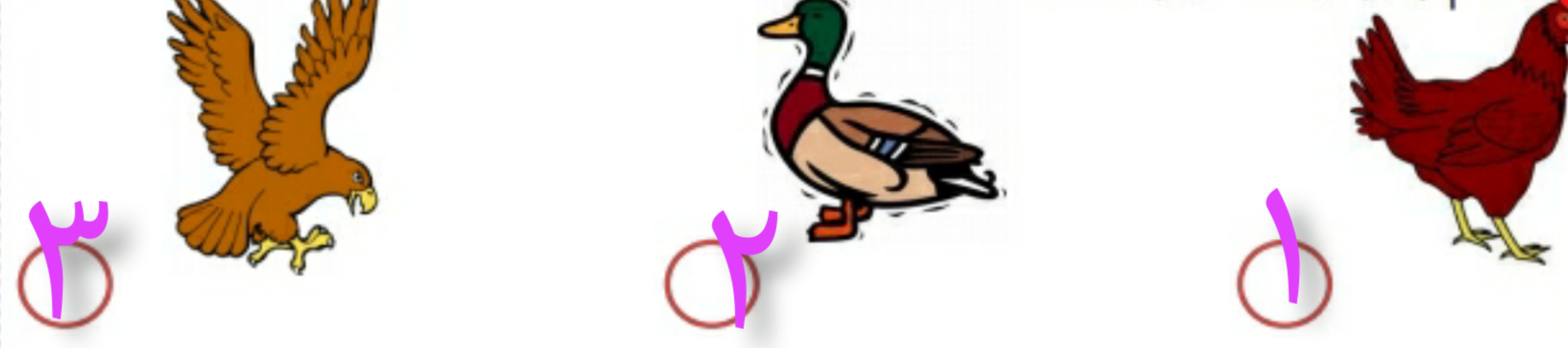 دریافت سوال 3