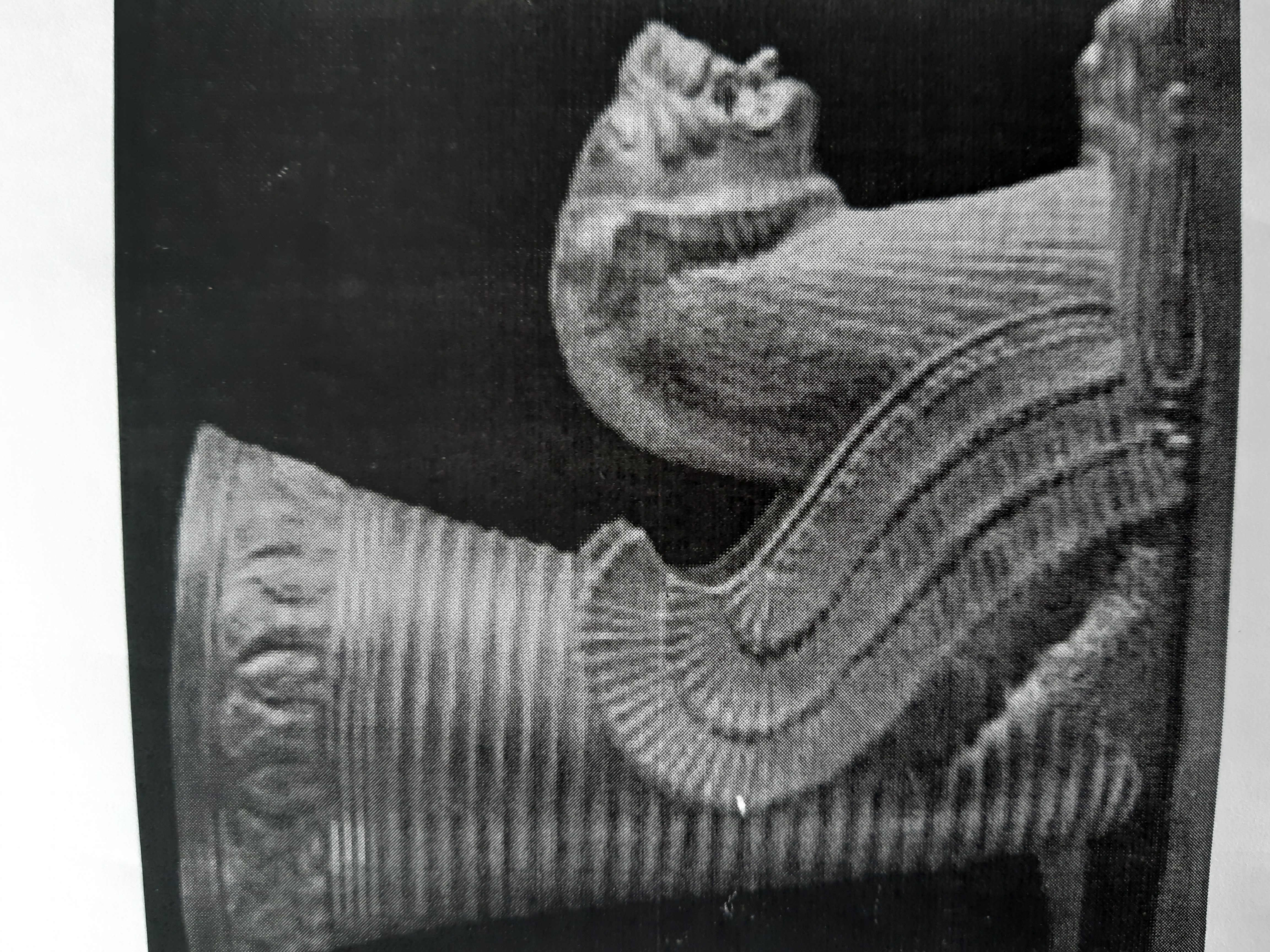 دریافت سوال 11