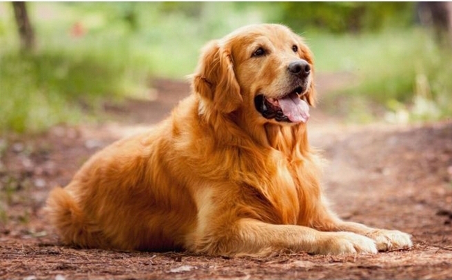 دریافت سوال 1