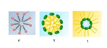 دریافت سوال 16