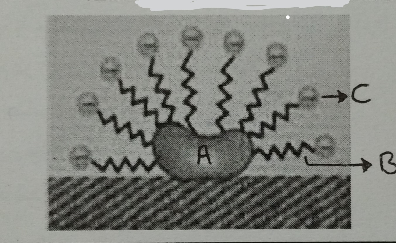 دریافت سوال 2
