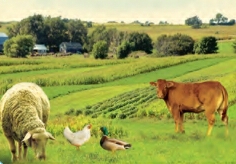 دریافت سوال 9