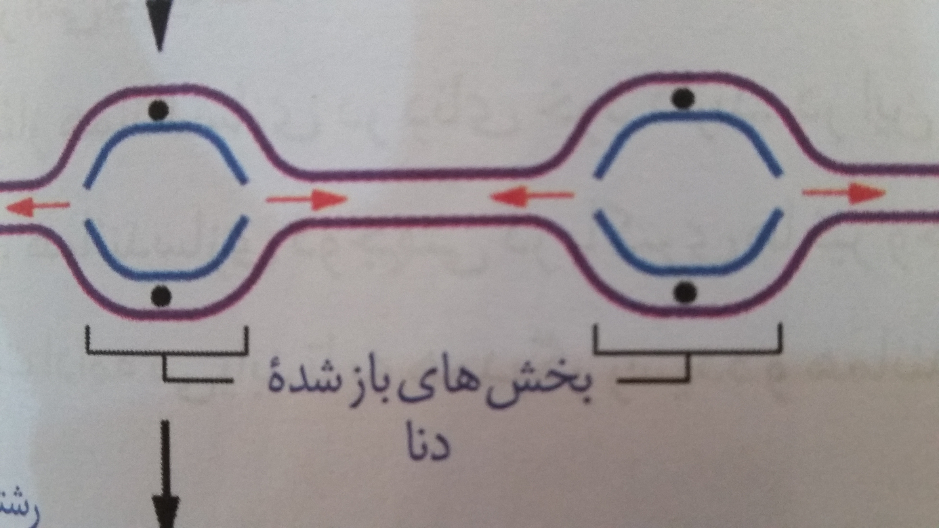 دریافت سوال 14