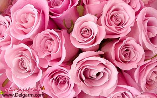 دریافت سوال 2