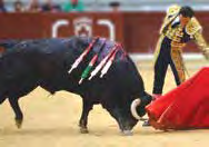 دریافت سوال 4