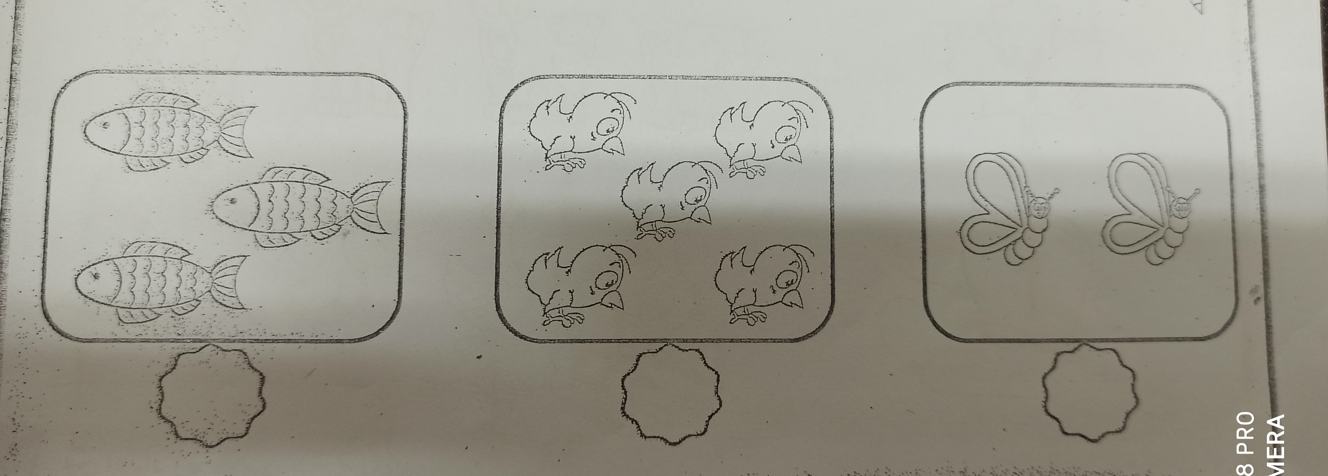 دریافت سوال 2