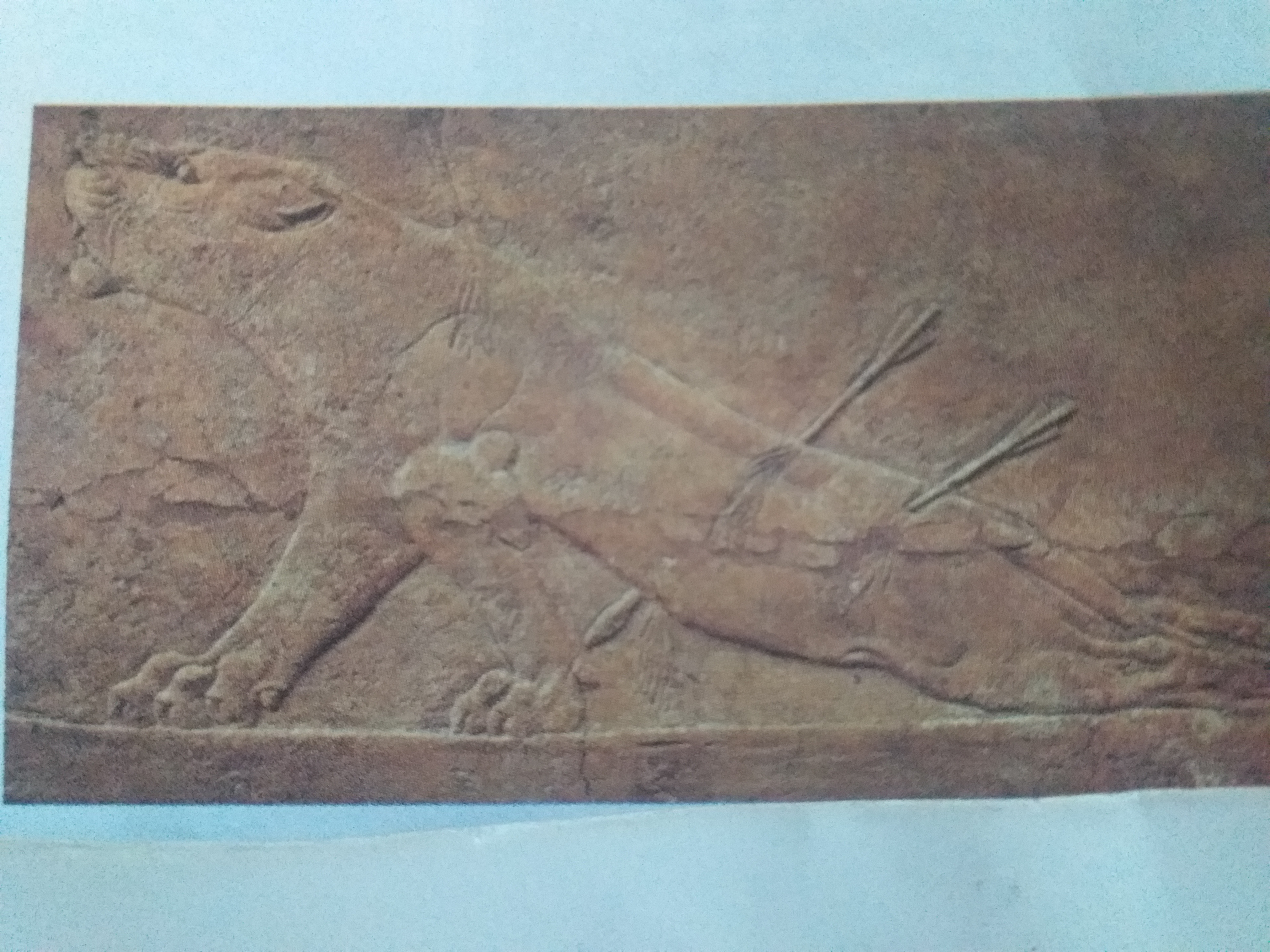 دریافت سوال 3