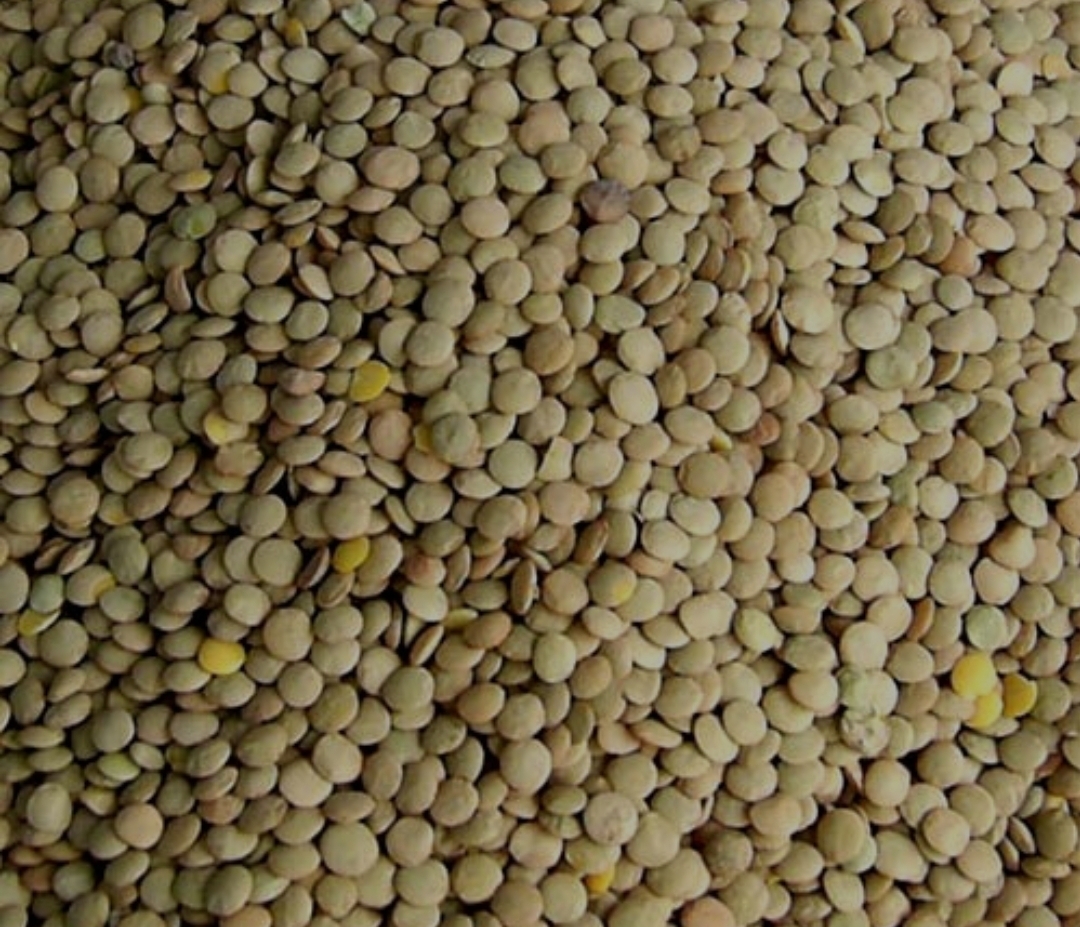 دریافت سوال 5