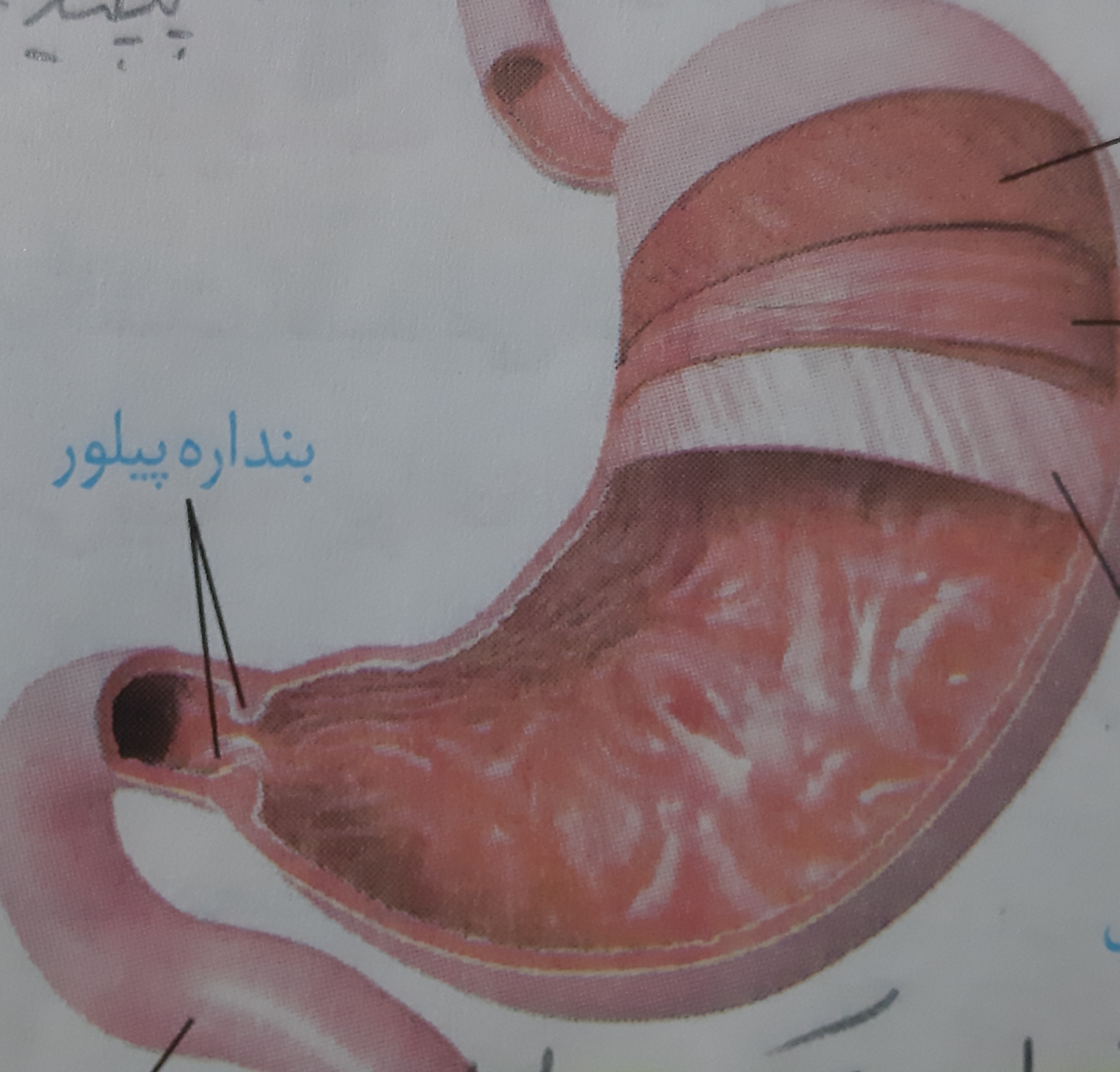 دریافت سوال 11