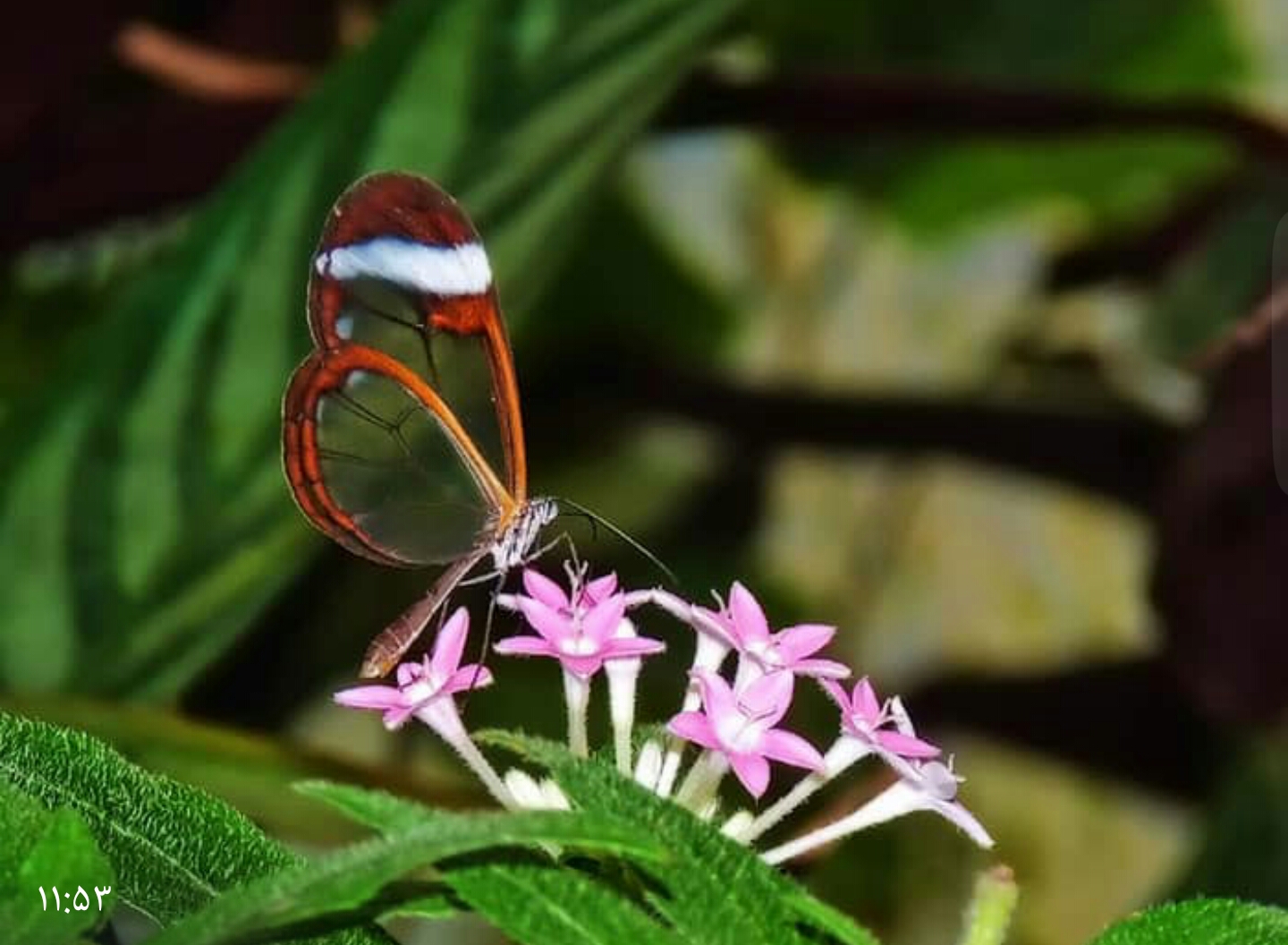 دریافت سوال 3