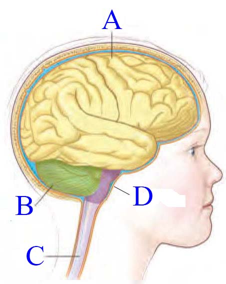 دریافت سوال 1