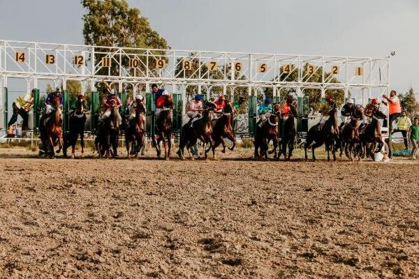 دریافت سوال 12