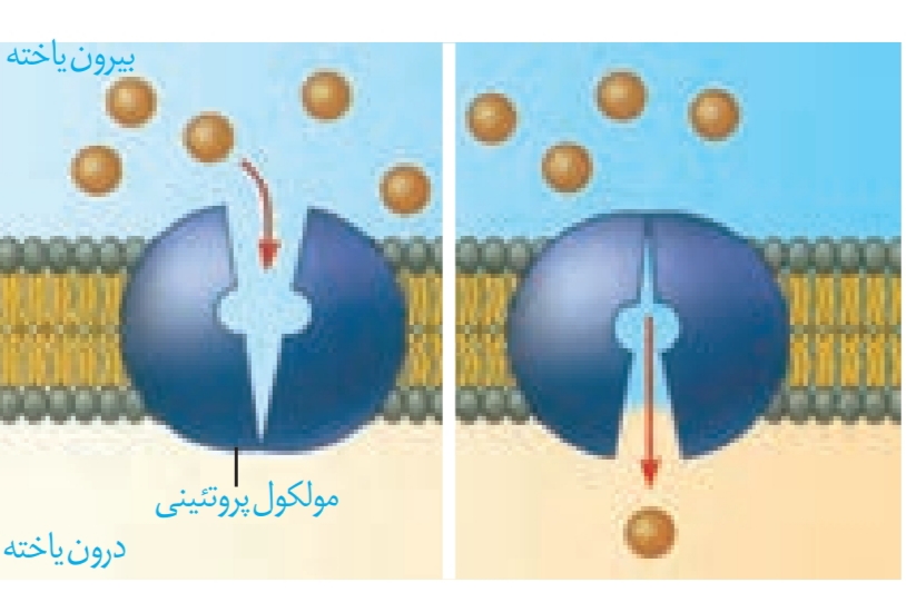 دریافت سوال 2
