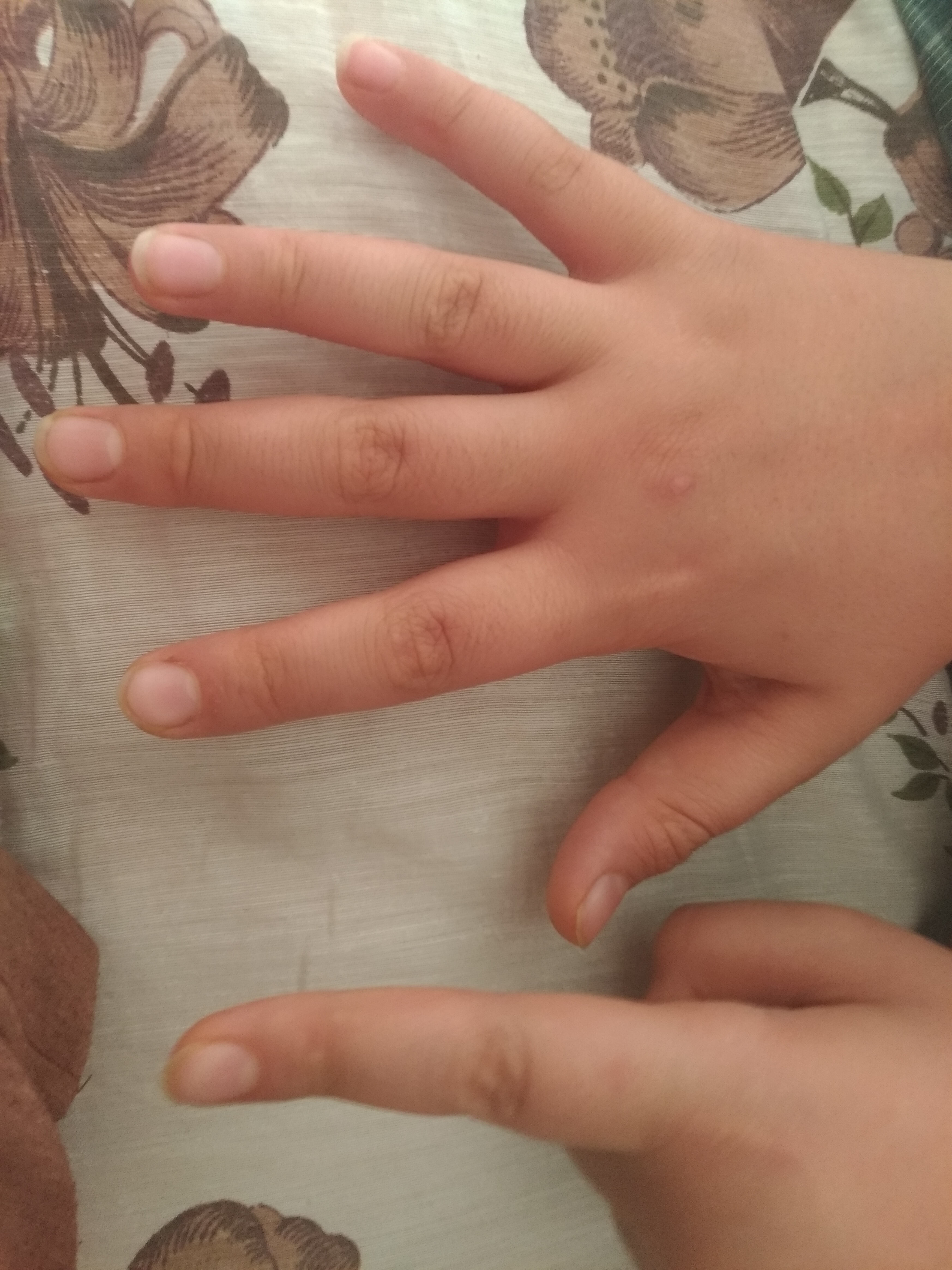 دریافت سوال 4