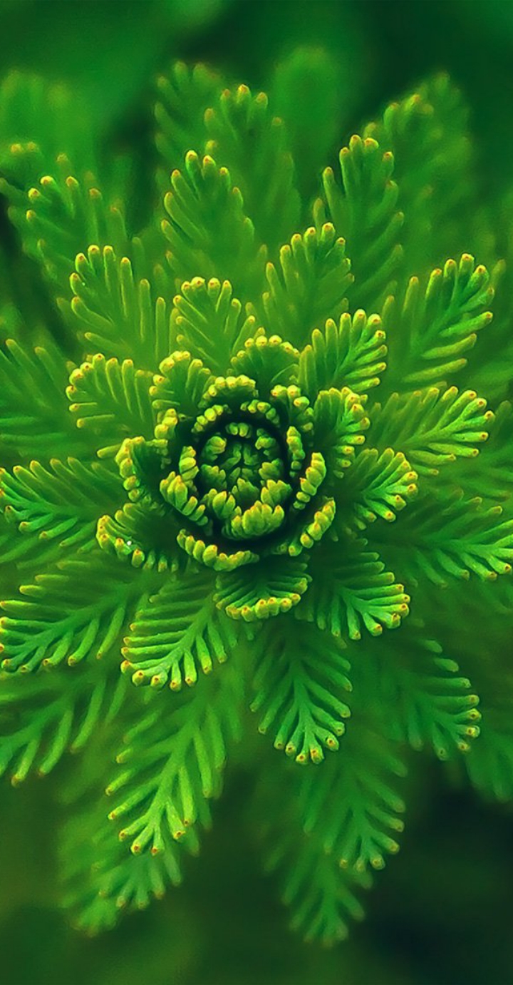 دریافت سوال