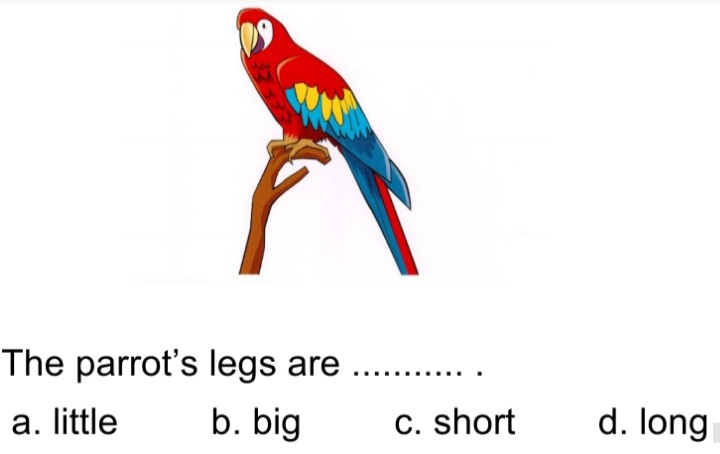 دریافت سوال 33