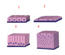 دریافت سوال 3