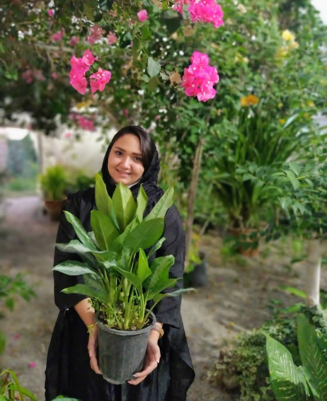 دریافت سوال 3