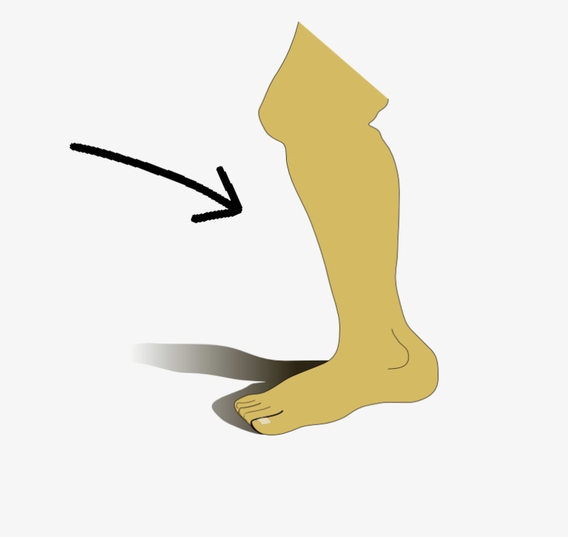 دریافت سوال 9