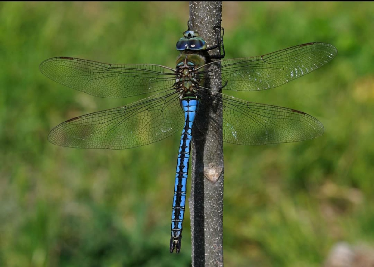 دریافت سوال 4