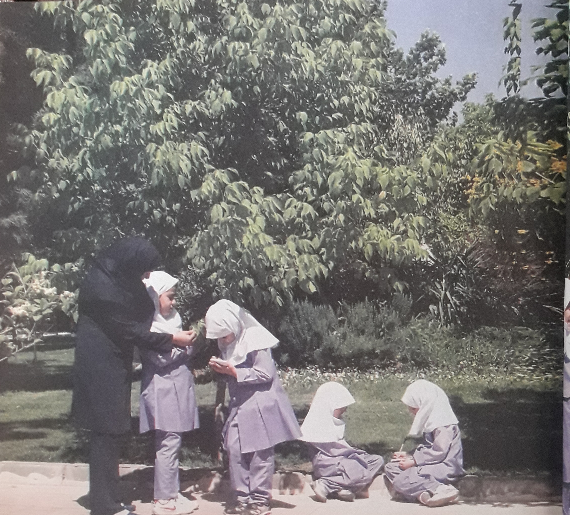 دریافت سوال 3