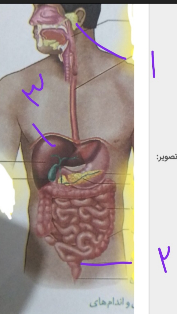 دریافت سوال 8