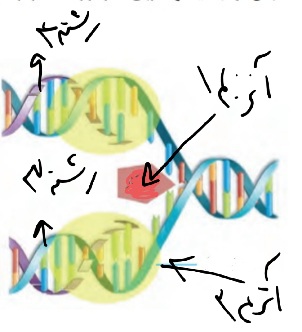 دریافت سوال 3