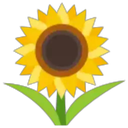 img of service