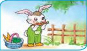 دریافت سوال 3