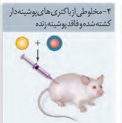 دریافت سوال 11