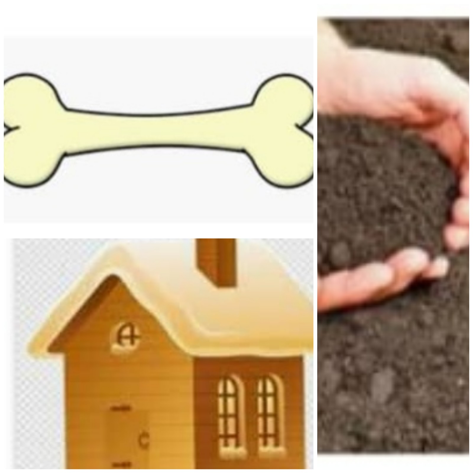 دریافت سوال 2