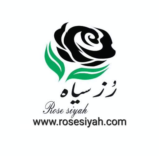 rose siyah