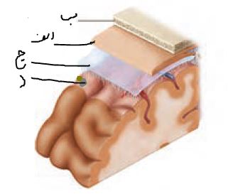 دریافت سوال 28